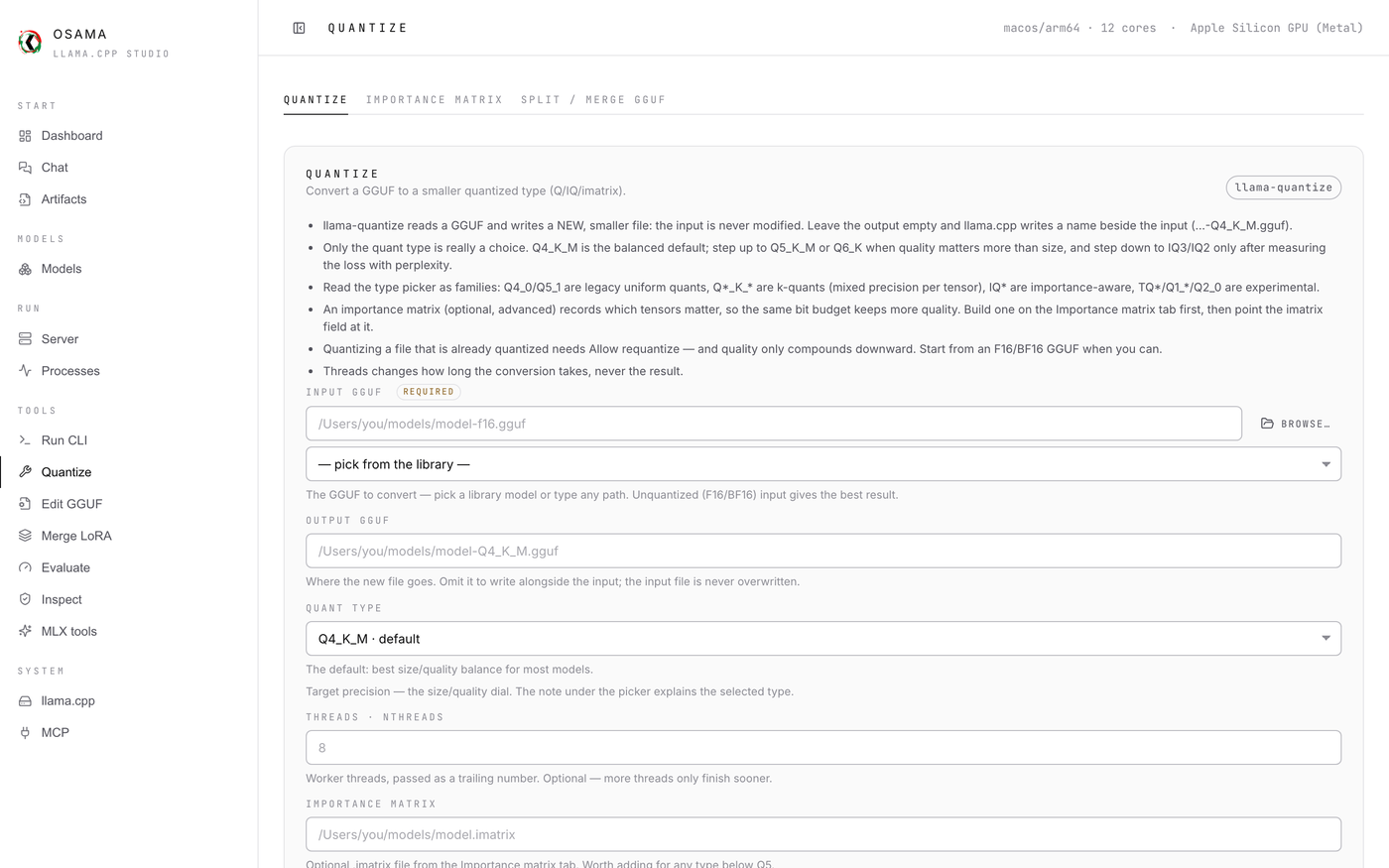 The quantize tool form, built from the real CLI flags