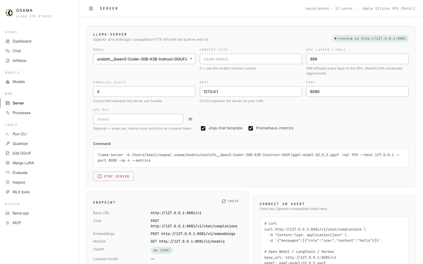 Serving a model as an OpenAI-compatible API